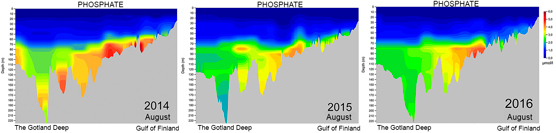 Phosphate in the Gotland Deep